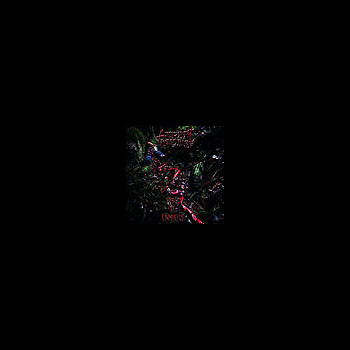 ATRETIC INTESTINE - Trail of Entrails