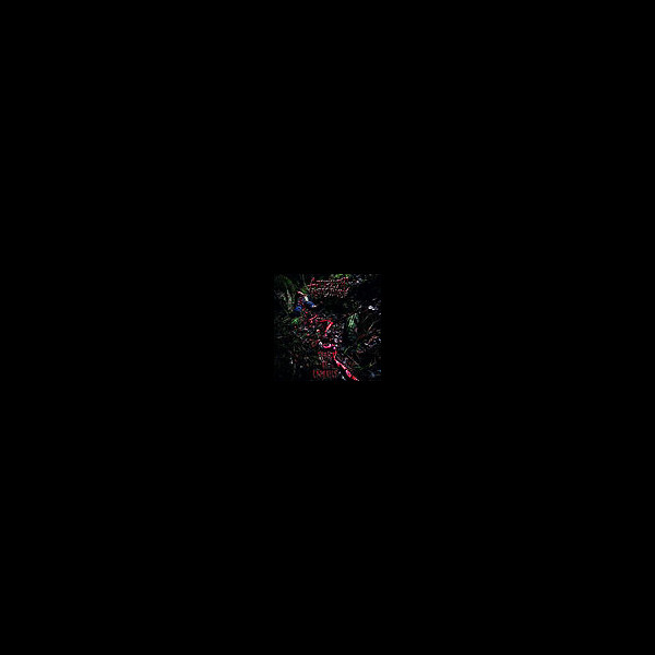 ATRETIC INTESTINE - Trail of Entrails