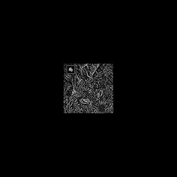 MOTH, THE - And Then Rise