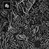 MOTH, THE - And Then Rise