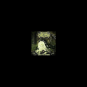 SEPTIC CONGESTION - Souls to Consume