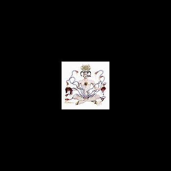 VORAX VIROSUS - Satanic Octopenis Sodomiser Incubus