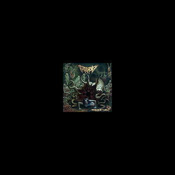 TURBIDITY - Vomiting the Rotten Maggot