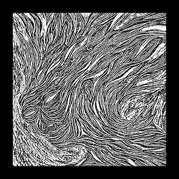 FACADA - Nadir
