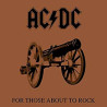 AC/DC - For Those About To Rock (We Salute You)