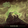 GRISLY - PACK: Salting the Earth + The Spectral Wars