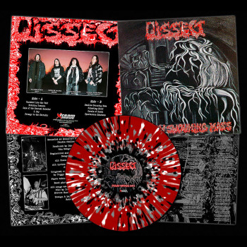 DISSECT - [splatter] Swallow Swouming Mass