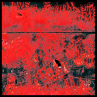 CONCRETE WINDS - Concrete Winds