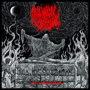 ABOLITION RITUAL - Cosmonemesis