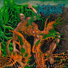 DECEDENT - For Those in Shallow Graves