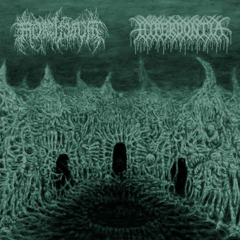 MORTIFERUM / HYPERDONTIA