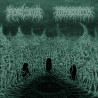 MORTIFERUM / HYPERDONTIA - Split EP