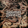 SQUASH BOWELS - The Mass Rotting - The Mass Sickening