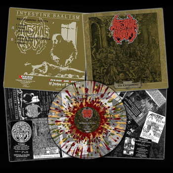 INTESTINE BAALISM - [clear] The Energumenus