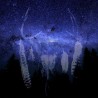 SEIDR - Ginnungagap