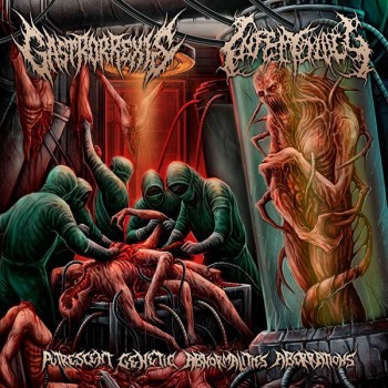 GASTRORREXIS / INFECTOLOGY