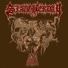 SLAUGHTERDAY - Abattoir
