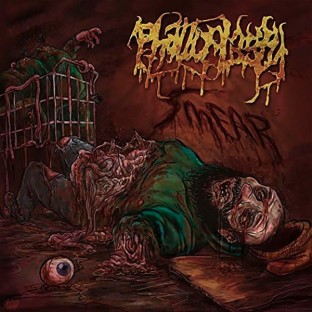 PHALLOPLASTY - Smear