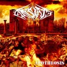 CALCULATE - Apotheosis