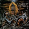 IMMOLATION - Here in After