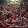 SCREWROT - Deranged Genesis