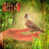 RVI MEKHA! - Skylark / Жаворонок