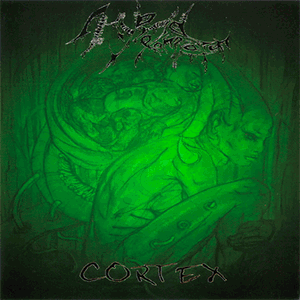 HYBRID EXONERATION / EFFECT MURDER - Split CD