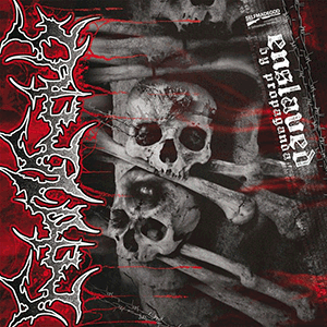 FETO IN FETUS / THIRD DEGREE - Split EP